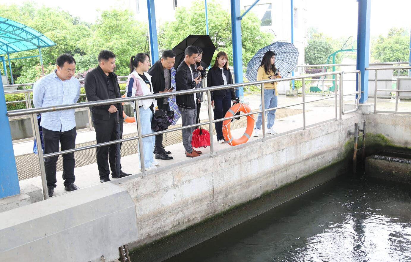 1624437654129260.jpg 1624437654129260.jpg